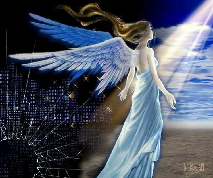 蓝色羽翼的天使